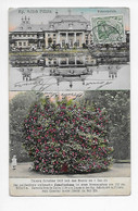 Pillnitz.  Kgl.Schlos Pillnitz  Wasserpalais  1910     Nr 13075 Verlag:  G.W.P. 1909 - Pillnitz