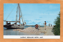 Bonaire Old Postcard - Bonaire