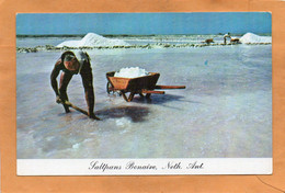 Bonaire Old Postcard - Bonaire