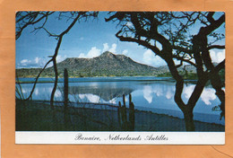 Bonaire Old Postcard - Bonaire