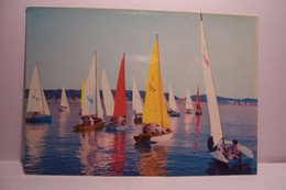 BATEAU  - REGATES  - Vue Générale - Départ De Régates  -  ( Pas De Reflet Sur L'original ) - Voile