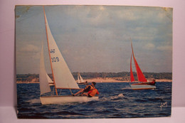 BATEAU  - REGATES  -  Bateaux En Régates -  ( Pas De Reflet Sur L'original ) - Voile