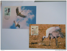 Chine China &amp; USA 1994 La Grue Kraanvogel Black-necked &amp; Whooping Crane Carte Maximum - Kraanvogels En Kraanvogelachtigen