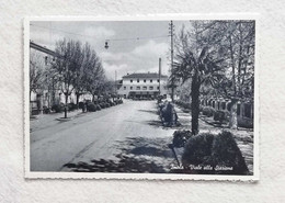 Cartolina Illustrata Imola - Viale Alla Stazione, Non Viaggiata - Imola