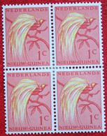 1 Ct Paradijsvogels Birds Vogel NVPH 25 1954 Ongebruikt MH NIEUW GUINEA NIEDERLANDISCH NEUGUINEA NETHERLANDS NEW GUINEA - Netherlands New Guinea