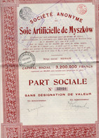 Part Sociale Sans Désignation De Valeur - S.A. Soie Artificielle De Myszkow - Renaix 1924. - Tessili