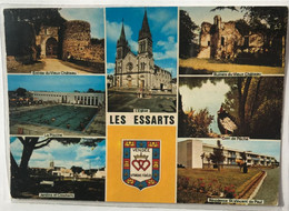 85 Les Essarts 7 Vues Vieux Chateau Piscine Eglise  Jardins Residence St Vincent De Paul Ecusson -pour Alouette FM - Les Essarts