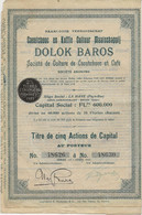 DOLOK BAROS -SOCIETE DE CULTURE DE CAOUTCHOUC ET CAFE - 2 TITRES DE CINQ ACTIONS -ANNEE 1910 - Industry