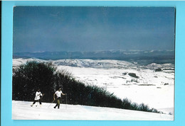 12---- Ski De Fond à LAGUIOLE--voir 2 Scans - Laguiole