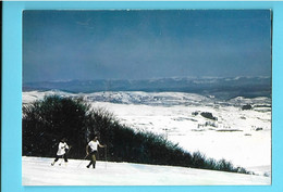 12---- Ski De Fond à LAGUIOLE--voir 2 Scans - Laguiole