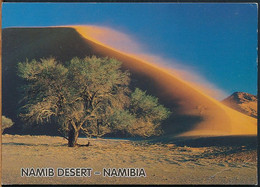 °°° 21470 - NAMIBIA - NAMIB DESERT - 1996 With Stamps °°° - Namibië