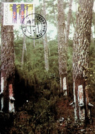 1977 Florestas - Maximumkarten (MC)