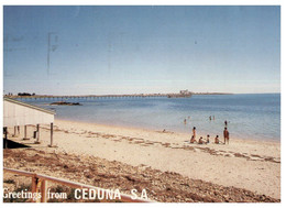 (V 21) Australia - SA -  Ceduna Beach & Wharf Port (CDA2) With Stamp - Autres & Non Classés