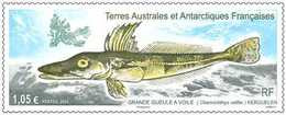 2020-01- TAAF- FSAT- Stamps Face Value Price  FISH GRANDE GUEULE  1V      MNH** - Faune Antarctique