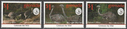 Grenade 1995 - Nandou De Darwin (Rhea Pennata) - Struisvogels