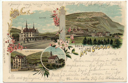 LITHO Gruss Aus ARTH GOLDAU Bahnhof Restaurant Hotel Steiner - Arth