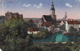 AK Döbeln - Panorama - Feldpost 1917 (52581) - Doebeln