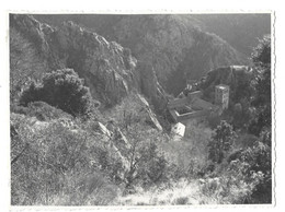 ABBAYE ST MARTIN DU CANIGOU EN 1953 - PHOTO PYRENEES ORIENTALES - Lugares