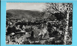 67------ROTHAU---vue Générale---voir 2 Scans - Rothau