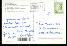 TAXE * PORT BELAST * POSTCARD Uit LUXEMBURG Naar MAASBREE   (11.849x) - Taxes