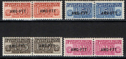 TRIESTE - AMGFTT - 1953 - PACCHI IN CONCESSIONE - SOVRASTAMPA SU UNA LINEA -  MNH - Postal And Consigned Parcels