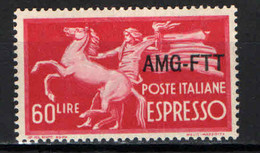 TRIESTE - AMGFTT - 1950 - SERIE DEMOCRATICA - SOVRASTAMPA SU UNA RIGA - VALORE DA 60 LIRE - MNH - Posta Espresso