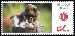 DUOSTAMP** / MYSTAMP** Chien & Chat / Hond En Kat / Hund Und Katze - Autocollant / Zelfklevend / Selbstklebend - Mint