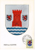 CARTE MAXIMUM 1957 LUXEMBOURG BLASONS  ARMOIRIES ARMS WAPPEN ESCH SUR ALZETTE - Maximumkarten