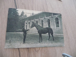 CPA 64 Pyrénées Atlantique  Archive Rogier Directeur Haras De Gélos Pau Cheval Horse Prisme Pur Sang Anglo-arabe - Pau