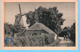 Ermelo-Gelderland-+/-1950-Achter De Molen "De Koe"-Jongen-Windmolen-Windmill Moulin à Vent-Uitg.Jos Nuss - Ermelo