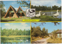 Stramproy - Bungalowpark-Camping 't Vosseven': VAKANTIE-BUNGALOW, GANZEN, NATUUR - Limburg / Nederland-Holland - Weert