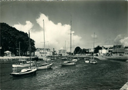 La Turballe Le Port  Voiliers Bateaux CPA 44 Loire Atlantique  Ed Artaud - La Turballe