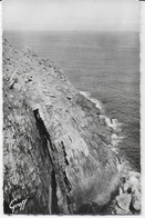 La Pointe Du Raz De Sein - L'Enfer De Plogoff - Plogoff