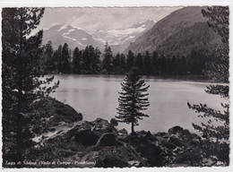 Lago Di Saoseo ( Valle Di Campo - Poschiavo) - Poschiavo