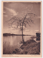 Frühling Am Zugersee - Zugo