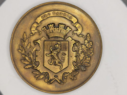 MEDAILLE MEDAL LOIR ET CHER VENDOME SOCIETE DE TIR VENDOME CONCOURS DE 1897 HALLARD - Professionals/Firms