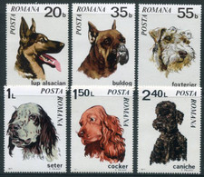 ROMANIA 1971 Dogs MNH / **. Michel 2908-13 - Ongebruikt