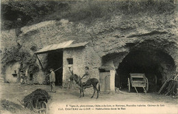 Château Du Loir * Habitations Dans Le Roc * Caves Troglodytes * âne - Chateau Du Loir