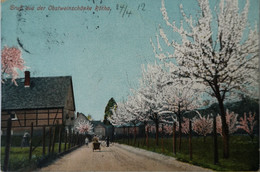 Rotha // Gruss Aus Der Obstweinschanke Rotha 1912 - Altri & Non Classificati