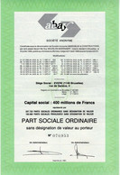 Part Sociale Ordinaire Au Porteur - ABAY S.A. -  S.A. Immeubles & Constructions - EVERE 1981. - Banca & Assicurazione