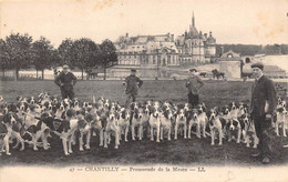 Chantilly          60          Chasse à Courre.  Promenade De La Meute - 1 -             (voir Scan) - Chantilly