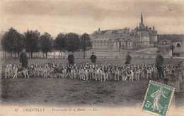 Chantilly          60          Chasse à Courre.  Promenade De La Meute - 2 -        Carte Molle      (voir Scan) - Chantilly