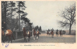 Chantilly         60         Hippisme.   Chevaux De Courses Sur La Pelouse     (voir Scan) - Chantilly