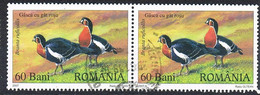 2007 - ROMANIA - OCHE SELVATICHE / WILD GEESE - USATO / USED - Used Stamps