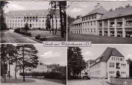 AK Gruß Aus Wildeshausen I. O. - Mehrbildkarte - 1963 (52629) - Wildeshausen