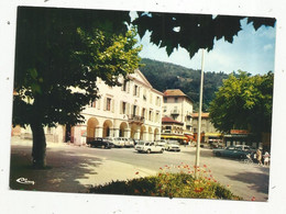 Cp , Automobiles, 06 , SAINT MARTIN VESUBIE ,place Félix FAURE Et Hôtel De Ville ,  Vierge ,  2 Scans, Commerces - Passenger Cars