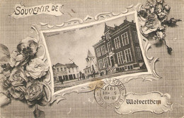 Wolverthem / Wolvertem : Souvenir De ....1911 - Meise