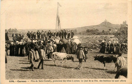 Carnac * Fête De St Cornély Protecteur Des Bêtes à Cornes * Fêtes Locales - Carnac