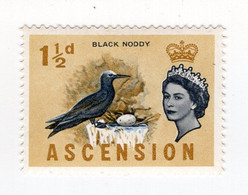 1963 Ascension Mi# 76 QEII. Black Noddy. Birds. Fauna. MNH ** Y2x1 - Zonder Classificatie