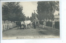 Merksplas - Merxplas Colonie Ferme - Boerderij - Merksplas